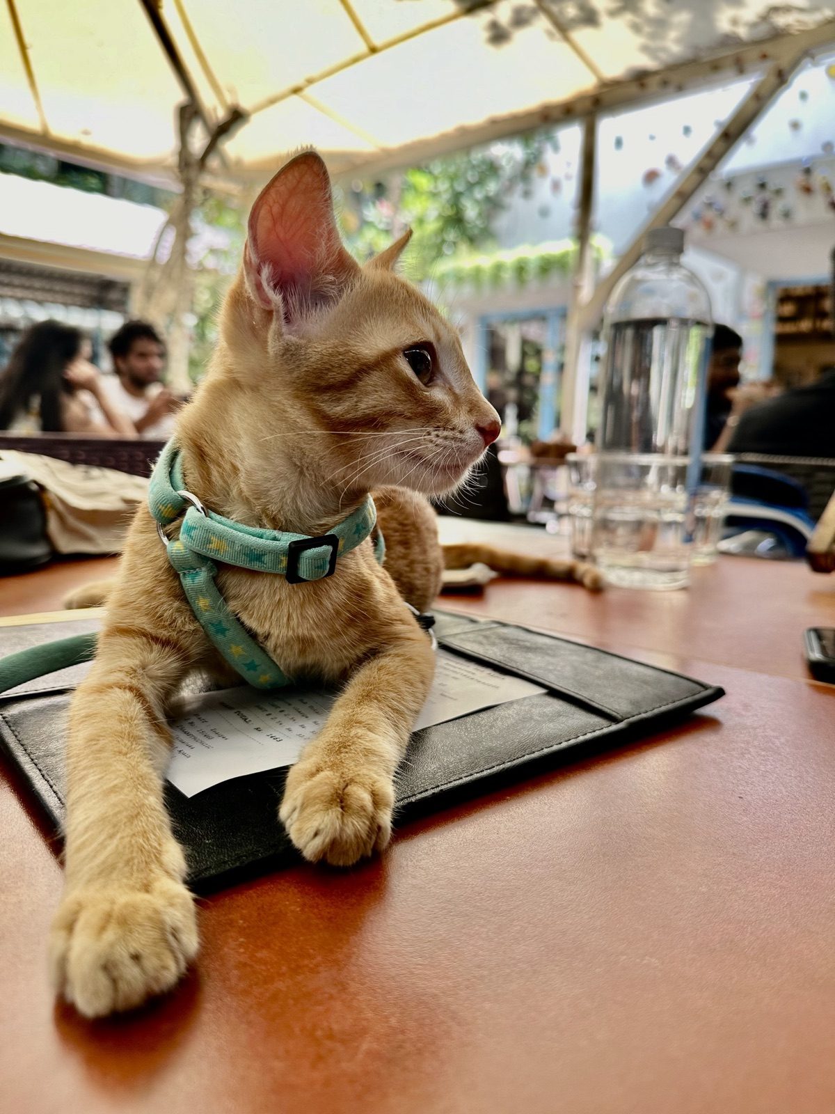 Café supervisor