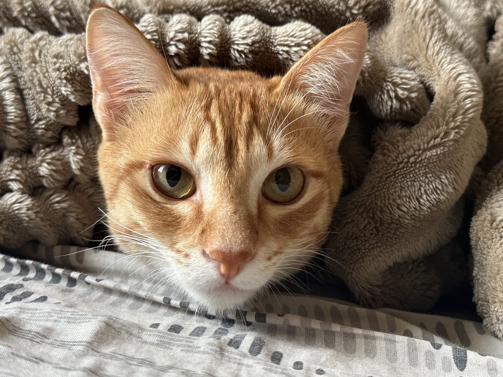 Blanket burrito