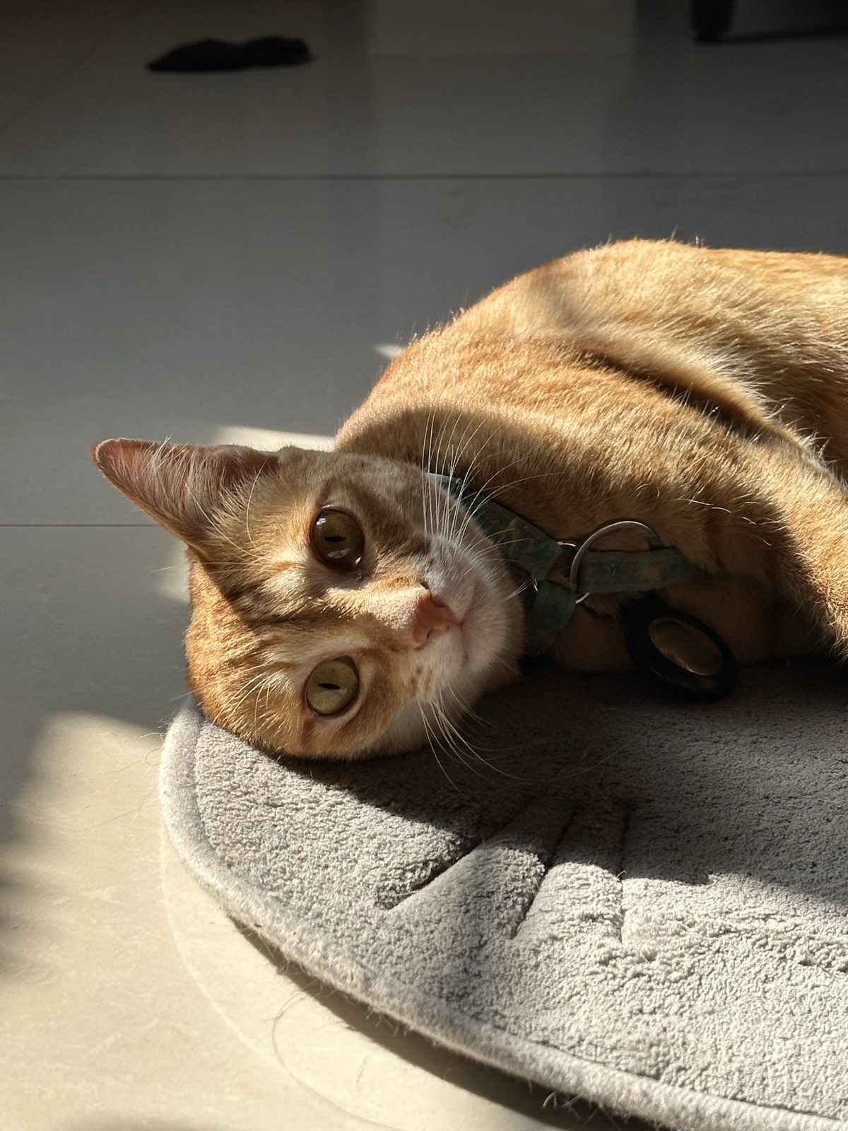 Sunbeam o'clock